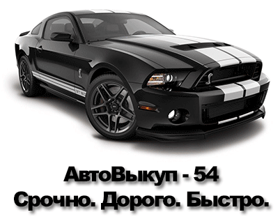 Срочный выкуп авто в Новосибирске